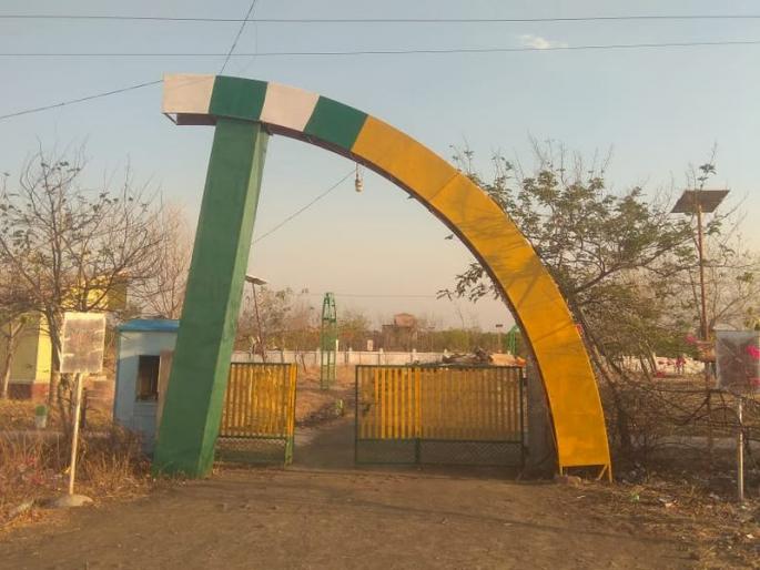 forest garden in risod washim | रिसोडच्या वन उद्यानात पाण्याअभावी झाडे सुकली forest garden in risod washim | रिसोडच्या वन उद्यानात पाण्याअभावी झाडे सुकली