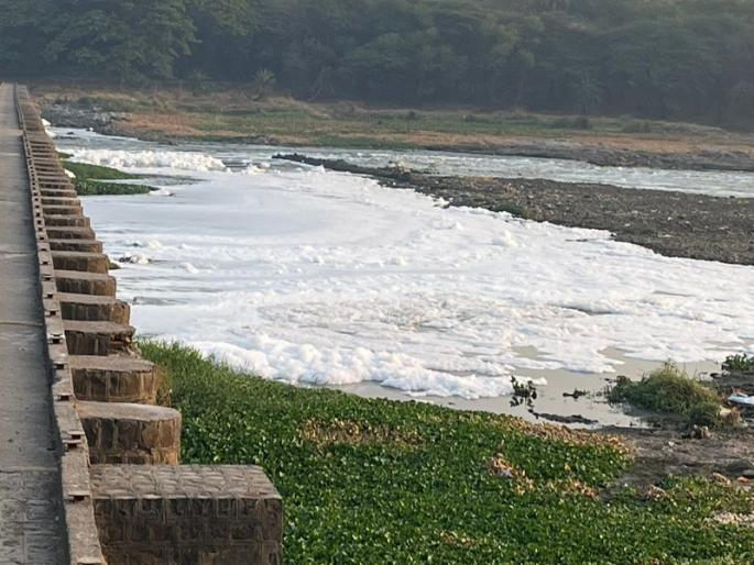 Bird's paradise Kavadipatla frothy Mutha River Garbage water leaves on one side, foam on the other | पक्ष्यांचे नंदनवन कवडीपाटला फेसाळली मुठा नदी; एकीकडे कचरा, जलपर्णी, दुसरीकडे फेसच फेस Bird's paradise Kavadipatla frothy Mutha River Garbage water leaves on one side, foam on the other | पक्ष्यांचे नंदनवन कवडीपाटला फेसाळली मुठा नदी; एकीकडे कचरा, जलपर्णी, दुसरीकडे फेसच फेस