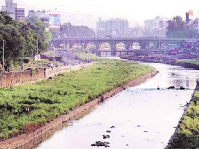 Mutha river bank cementation destroys riparian wetlands; Need to be nurtured | सिमेंटीकरणाने मुठा नदीकाठच्या पाणथळ जागा नष्ट; संवर्धन करणे आवश्यक Mutha river bank cementation destroys riparian wetlands; Need to be nurtured | सिमेंटीकरणाने मुठा नदीकाठच्या पाणथळ जागा नष्ट; संवर्धन करणे आवश्यक