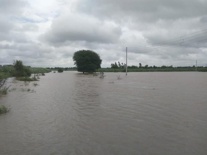 Kayadhu River floods: A farmer was missing at Hadgav; Five villages lost contact | कयाधू नदीला पूर : हदगावात एक शेतकरी वाहून गेला; पाच गावांचा संपर्क तुटला Kayadhu River floods: A farmer was missing at Hadgav; Five villages lost contact | कयाधू नदीला पूर : हदगावात एक शेतकरी वाहून गेला; पाच गावांचा संपर्क तुटला