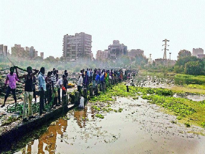 Sunday, organizational initiatives for cleanliness of the sanctum sanctorum, campaign from Ravet to Dapodi, complete erosion of waterfowl | पवनामाईच्या स्वच्छतेसाठीच रविवार, संघटनांचा पुढाकार, रावेतपासून दापोडीपर्यंत मोहीम, जलपर्णीचे करणार समूळ उच्चाटन Sunday, organizational initiatives for cleanliness of the sanctum sanctorum, campaign from Ravet to Dapodi, complete erosion of waterfowl | पवनामाईच्या स्वच्छतेसाठीच रविवार, संघटनांचा पुढाकार, रावेतपासून दापोडीपर्यंत मोहीम, जलपर्णीचे करणार समूळ उच्चाटन