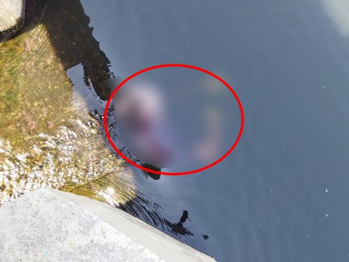 One committed suicide because he could not find a job in the city | "खिशात पैसे, खाण्यासाठी अन्न अन् नोकरी नाही, कसं राहू...?", अशी चिठ्ठी लिहत आत्महत्या One committed suicide because he could not find a job in the city | "खिशात पैसे, खाण्यासाठी अन्न अन् नोकरी नाही, कसं राहू...?", अशी चिठ्ठी लिहत आत्महत्या