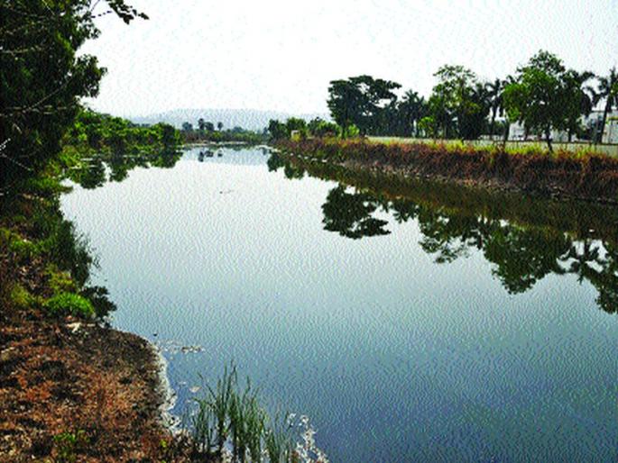 Lockdown cleans rivers in Panvel; Life saving for aquatic animals | लॉकडाउनमुळे पनवेलमधील नद्या झाल्या स्वच्छ; जलचर प्राण्यांना जीवदान Lockdown cleans rivers in Panvel; Life saving for aquatic animals | लॉकडाउनमुळे पनवेलमधील नद्या झाल्या स्वच्छ; जलचर प्राण्यांना जीवदान