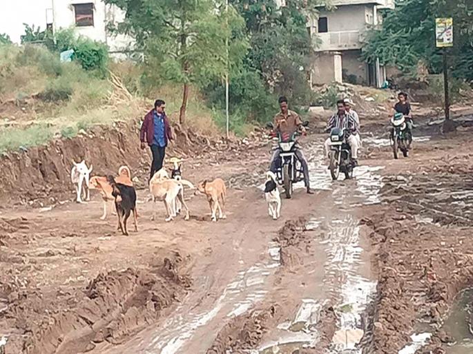 Hey tell me, how to take Swargarath from here! Bad condition of the road leading to Bhavsingpura Crematorium | अहो सांगा, येथून स्वर्गरथ कसा न्यावा! भावसिंगपुरा स्मशानभूमीकडे जाणाऱ्या रस्त्याची दुरावस्था Hey tell me, how to take Swargarath from here! Bad condition of the road leading to Bhavsingpura Crematorium | अहो सांगा, येथून स्वर्गरथ कसा न्यावा! भावसिंगपुरा स्मशानभूमीकडे जाणाऱ्या रस्त्याची दुरावस्था