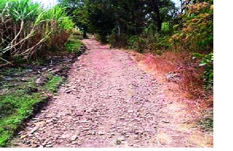 Even in the year, the village road committee on paper | वर्ष झाले तरी ‘गाव रस्ता समिती कागदावरच Even in the year, the village road committee on paper | वर्ष झाले तरी ‘गाव रस्ता समिती कागदावरच