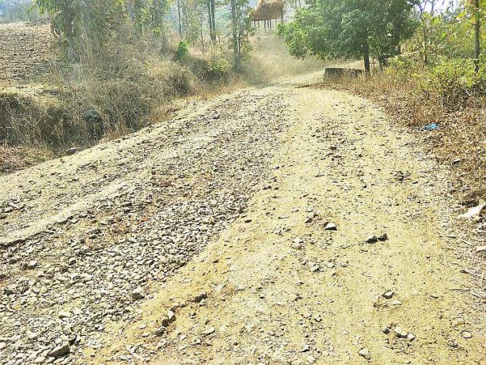 The plight of roads in the tribal areas | आदिवासी भागातील रस्त्यांची दुर्दशा The plight of roads in the tribal areas | आदिवासी भागातील रस्त्यांची दुर्दशा