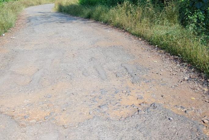 Nasir Qazi warns administration to plant trees in pits | खड्ड्यांमध्ये वृक्षारोपण करणार, नासीर काझींचा प्रशासनाला इशारा