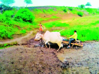 250 acres of cultivar jam! | २५0 एकरांवरील मशागत ठप्प! 250 acres of cultivar jam! | २५0 एकरांवरील मशागत ठप्प!
