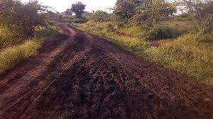 Action plan stuck at the taluka level of Panand road! | पाणंद रस्त्यांचे तालुका स्तरावर अडकले कृती आराखडे!