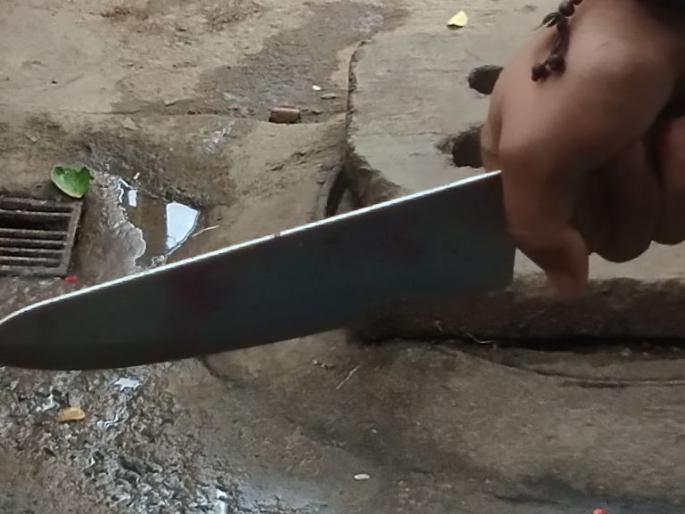 Property dealer in Nagpur has been robbed by threatening knife | नागपुरात प्रॉपर्टी डिलरला चाकूच्या धाकावर लुटले