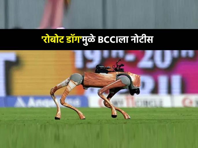 IPL 2025 robot dog Champak BCCI faces a legal challenge Delhi High Court trademark infringement Comic book Publishing House | IPL 2025: रोबोट कुत्र्यामुळे BCCI अडचणीत, उच्च न्यायालयाकडून मिळाली नोटीस, पण कशासाठी?