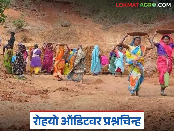 latest news MGNREGA Scheme: Transparency of Rohyo Social Audit is broken; Questions on the functioning of the committee itself Read in detail | MGNREGA Scheme: रोहयो सोशल ॲडिटच्या पारदर्शकतेला तडा; समितीच्याच कामकाजावर प्रश्न वाचा सविस्तर