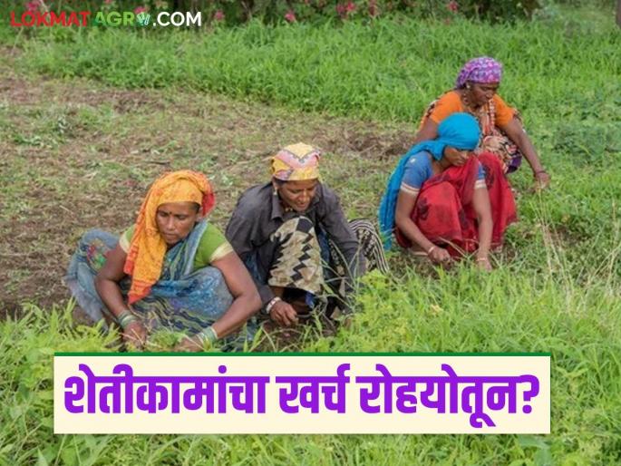 Latest News Labor cost from sowing to harvesting from 'rojgar hami yojna', read in detail | Rojgar Hami Yojana : पीक पेरणीपासून ते कापणीपर्यंतचा मजुरीचा खर्च 'रोहयो'तून, वाचा सविस्तर   Latest News Labor cost from sowing to harvesting from 'rojgar hami yojna', read in detail | Rojgar Hami Yojana : पीक पेरणीपासून ते कापणीपर्यंतचा मजुरीचा खर्च 'रोहयो'तून, वाचा सविस्तर