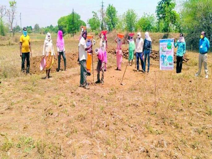 Apply for 20,000 workers employment guarantee scheme | वीस हजार मजुर रोजगार हमी योजनेच्या कामावर रूजू Apply for 20,000 workers employment guarantee scheme | वीस हजार मजुर रोजगार हमी योजनेच्या कामावर रूजू