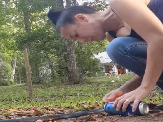 brave woman rescues snake stuck in a beer can video goes viral | Video: टीनमध्ये तोंड अडकलेल्या सापाला तिनं स्वत:चा जीव धोक्यात घालून वाचवलं! brave woman rescues snake stuck in a beer can video goes viral | Video: टीनमध्ये तोंड अडकलेल्या सापाला तिनं स्वत:चा जीव धोक्यात घालून वाचवलं!