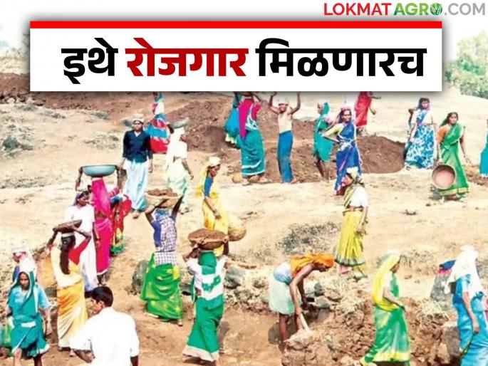 How to get unemployment allowance if you do not get work under the Employment Guarantee Scheme; Know in detail | रोजगार हमी योजनेत काम न मिळाले तर कसा मिळतो बेरोजगारी भत्ता; जाणून घ्या सविस्तर How to get unemployment allowance if you do not get work under the Employment Guarantee Scheme; Know in detail | रोजगार हमी योजनेत काम न मिळाले तर कसा मिळतो बेरोजगारी भत्ता; जाणून घ्या सविस्तर