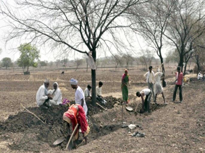 Minimum Expenditure in Maharashtra on Rural Employment Guarantee | ग्रामीण रोजगार हमीवर महाराष्ट्रात अत्यल्प खर्च; बिहार, छत्तीसगडसुद्धा पुढे Minimum Expenditure in Maharashtra on Rural Employment Guarantee | ग्रामीण रोजगार हमीवर महाराष्ट्रात अत्यल्प खर्च; बिहार, छत्तीसगडसुद्धा पुढे