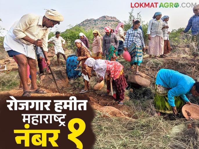 Rojgar Hami Yojana: Maharashtra has achieved the highest growth in 5 years under the Rural Employment Guarantee Scheme | Rojgar Hami Yojana : ग्रामीण रोजगार हमी योजनेअंतर्गत महाराष्ट्राने ५ वर्षात केली सर्वाधिक वाढ Rojgar Hami Yojana: Maharashtra has achieved the highest growth in 5 years under the Rural Employment Guarantee Scheme | Rojgar Hami Yojana : ग्रामीण रोजगार हमी योजनेअंतर्गत महाराष्ट्राने ५ वर्षात केली सर्वाधिक वाढ
