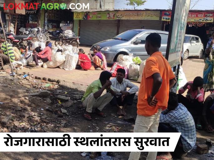 Migration of families for employment, | कुणी काम देतंय का काम? रोजगारासाठी कुटुंबांचे स्थलांतर Migration of families for employment, | कुणी काम देतंय का काम? रोजगारासाठी कुटुंबांचे स्थलांतर