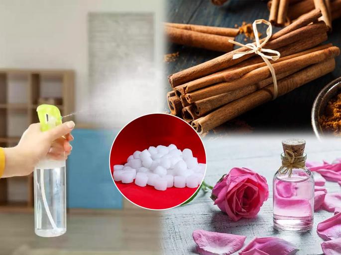 Natural ways to make home smell fresh. | घरात छान सुगंध दरवळण्यासाठी करा ८ घरगुती उपाय; घर होईल सुगंधित आणि मन प्रसन्न