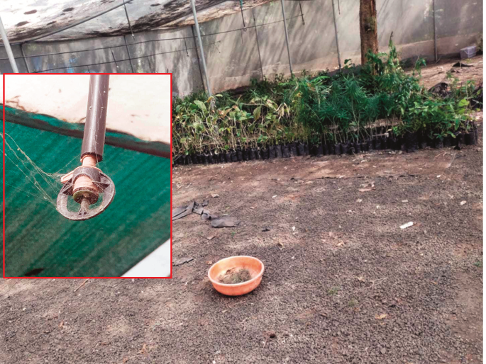 Due to the non-cooperation of the forest department, the summer works and plantations are in danger! | वनविभागाच्या असहकारामुळे उन्हाळ्यातील कामे अन् वृक्षारोपणच आले धोक्यात! Due to the non-cooperation of the forest department, the summer works and plantations are in danger! | वनविभागाच्या असहकारामुळे उन्हाळ्यातील कामे अन् वृक्षारोपणच आले धोक्यात!
