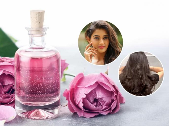 health care tips, beauty tips, dirt on the skin and stress on the eyes will be reduced, rose water provides great benefits. | त्वचेवरील घाण आणि डोळ्यांवरील ताण दोन्ही कमी होईल, गुलाब पाणी वापरल्याने मिळतात कमालीचे फायदे