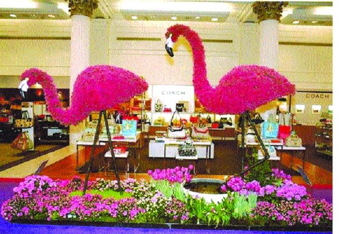  Gulab Push demonstration by Roses Society Saturday - Various programs in Sangli | रोझ सोसायटीतर्फे शनिवारपासून गुलाबपुष्प प्रदर्शन--सांगलीत विविध कार्यक्रम