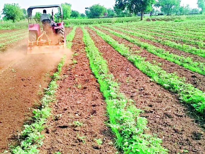 Kharif season hazard in Miyad area | मन्याड परिसरातील खरीप हंगाम धोक्यात