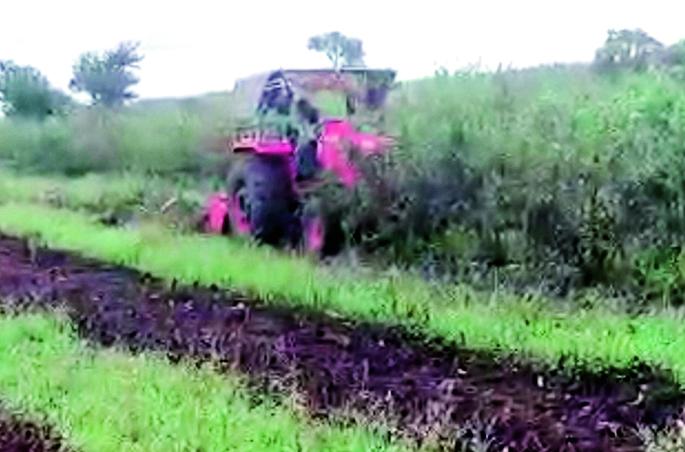 A farmer rotates a rotor on a five-acre pomegranate that has been destroyed by oil | तेल्याने उद्ध्वस्त झालेल्या पाच एकर डाळिंबावर शेतकºयाने फिरविला रोटर