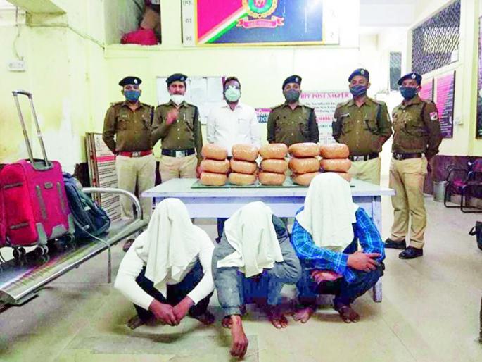 3.09 lakh cannabis seized from GT Express | जीटी एक्स्प्रेसमधून ३.०९ लाखाचा गांजा जप्त 3.09 lakh cannabis seized from GT Express | जीटी एक्स्प्रेसमधून ३.०९ लाखाचा गांजा जप्त