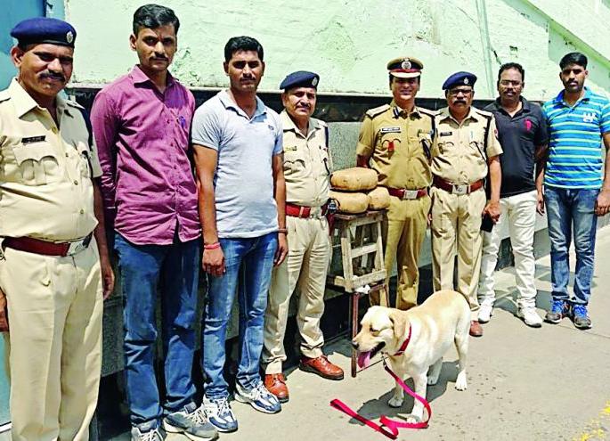 Rs.60,000 ganja seized in AP Express in Nagpur | नागपुरात एपी एक्स्प्रेसमध्ये ६० हजारांचा गांजा जप्त Rs.60,000 ganja seized in AP Express in Nagpur | नागपुरात एपी एक्स्प्रेसमध्ये ६० हजारांचा गांजा जप्त