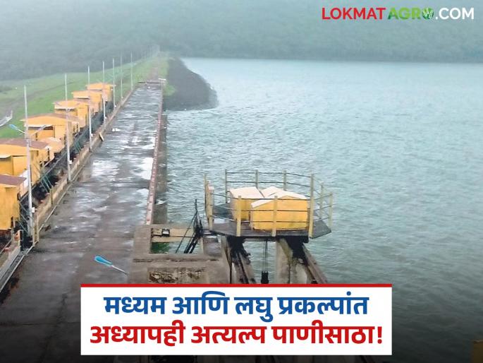 Half of the monsoon season is over; Only 40 percent of the water is available in small and medium projects in Marathwada | अर्धा पावसाळा संपला; मराठवाड्याच्या लघु आणि मध्यम प्रकल्पांत अध्यापही केवळ ४० टक्केच पाणी Half of the monsoon season is over; Only 40 percent of the water is available in small and medium projects in Marathwada | अर्धा पावसाळा संपला; मराठवाड्याच्या लघु आणि मध्यम प्रकल्पांत अध्यापही केवळ ४० टक्केच पाणी