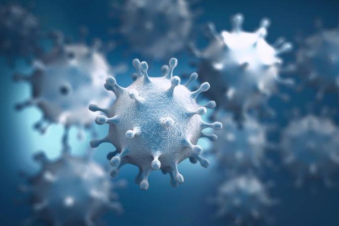 In Gondia district, the number of corona cases has increased to 36 | गोंदिया जिल्ह्यात कोरोना बाधितांच्या संख्येत पुन्हा ३६ रुग्णांची भर In Gondia district, the number of corona cases has increased to 36 | गोंदिया जिल्ह्यात कोरोना बाधितांच्या संख्येत पुन्हा ३६ रुग्णांची भर