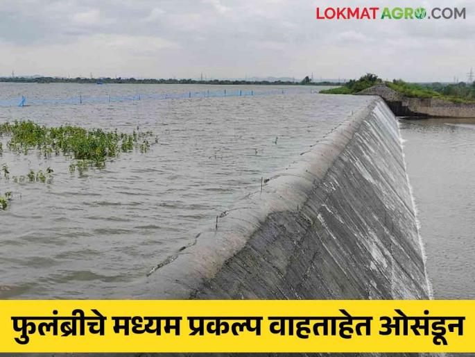 The result of heavy rains; Medium projects are overflowing | जोरदार पाऊस झाल्याचा परिणाम; मध्यम प्रकल्प वाहताहेत ओसंडून The result of heavy rains; Medium projects are overflowing | जोरदार पाऊस झाल्याचा परिणाम; मध्यम प्रकल्प वाहताहेत ओसंडून
