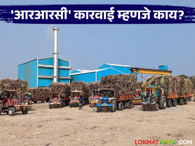 What is the RRC action taken if the factories do not pay the farmers' sugarcane bills? Read in detail | शेतकऱ्यांची उसाची बिलं कारखान्यांनी दिली नाहीतर केली जाणारी आरआरसी कारवाई म्हणजे काय? वाचा सविस्तर