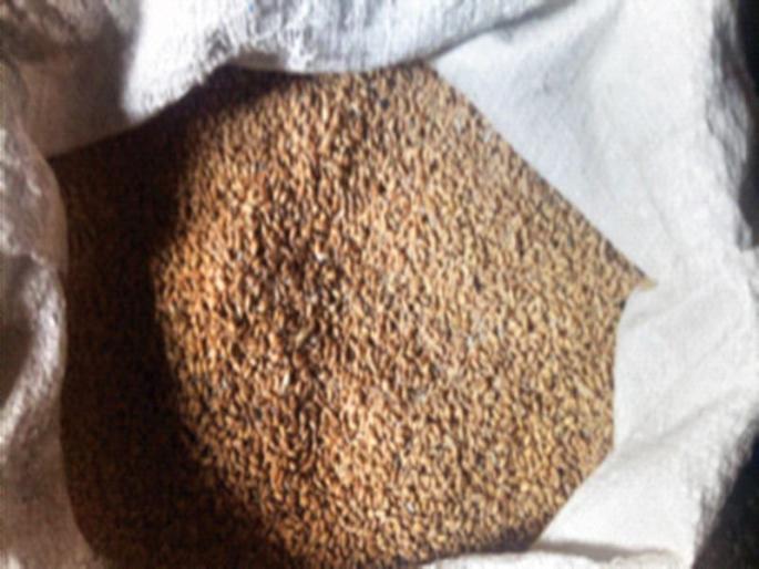 Smooth distribution of foodgrains at ration fair price shops | शिधावाटप रास्त भाव दुकानांवर अन्नधान्याचे सुरळीत वाटप Smooth distribution of foodgrains at ration fair price shops | शिधावाटप रास्त भाव दुकानांवर अन्नधान्याचे सुरळीत वाटप