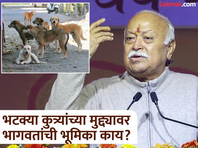 "Keeping stray dogs in shelter homes will not solve the problem, so..."; What alternative did RSS chief Bhagwat suggest? | "भटक्या कुत्र्यांना शेल्टर होममध्ये ठेवल्याने प्रश्न सुटणार नाही, तर..."; सरसंघचालक भागवतांनी काय सुचवला पर्याय? "Keeping stray dogs in shelter homes will not solve the problem, so..."; What alternative did RSS chief Bhagwat suggest? | "भटक्या कुत्र्यांना शेल्टर होममध्ये ठेवल्याने प्रश्न सुटणार नाही, तर..."; सरसंघचालक भागवतांनी काय सुचवला पर्याय?