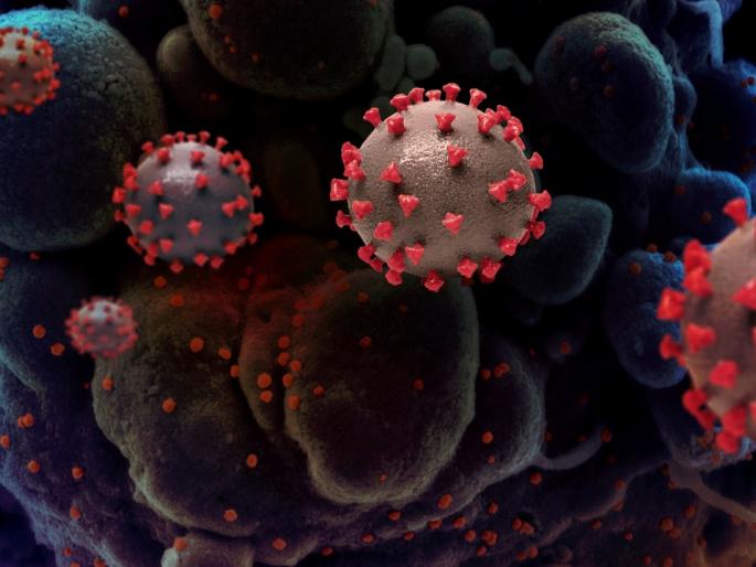 CoronaVirus News : Corona test to corona treatment know all about coronavirus with corona symptoms | CoronaVirus News : पॉझिटिव्ह आल्यापासून उपचारांपर्यंत; लवकर बरं होण्यासाठी कोरोनाबाबत या गोष्टी माहीत करून घ्या CoronaVirus News : Corona test to corona treatment know all about coronavirus with corona symptoms | CoronaVirus News : पॉझिटिव्ह आल्यापासून उपचारांपर्यंत; लवकर बरं होण्यासाठी कोरोनाबाबत या गोष्टी माहीत करून घ्या