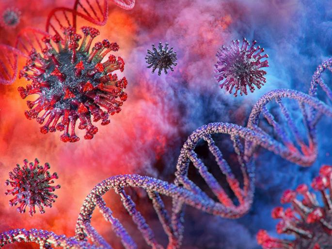 CoronaVirus : Corona virus blocking genes that protect against infection myb | संक्रमणापासून वाचवण्याऱ्या जिन्सला ब्लॉक करत आहे कोरोनाचा विषाणू; 'असे' होत आहेत परिणाम CoronaVirus : Corona virus blocking genes that protect against infection myb | संक्रमणापासून वाचवण्याऱ्या जिन्सला ब्लॉक करत आहे कोरोनाचा विषाणू; 'असे' होत आहेत परिणाम