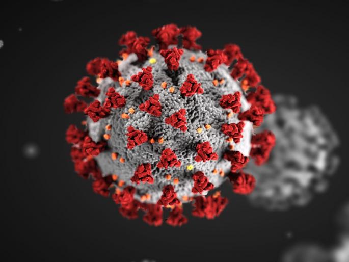 Murud market closed for four days from today | मुरूड बाजारपेठ आजपासून चार दिवसांसाठी बंद