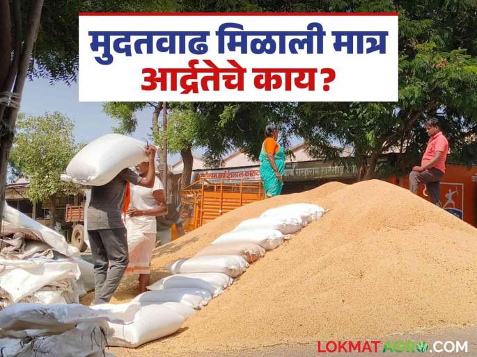Registration for sale at the Guaranteed Price Center can be extended until December 31st; but what about the moisture content of soybeans? | हमीभाव केंद्रावर विक्रीसाठी ३१ डिसेंबरपर्यंत नोंदणी करता येणार असल्याने नोंदणीला मुदतवाढ; पण सोयाबीनच्या आर्द्रतेचे काय? Registration for sale at the Guaranteed Price Center can be extended until December 31st; but what about the moisture content of soybeans? | हमीभाव केंद्रावर विक्रीसाठी ३१ डिसेंबरपर्यंत नोंदणी करता येणार असल्याने नोंदणीला मुदतवाढ; पण सोयाबीनच्या आर्द्रतेचे काय?