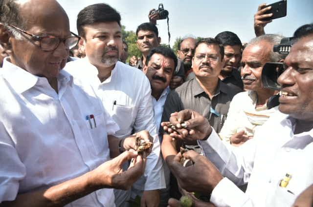 Farmers are in trouble, establish government soon | शेतकरी अडचणीत आहे, सरकार लवकर स्थापन करा Farmers are in trouble, establish government soon | शेतकरी अडचणीत आहे, सरकार लवकर स्थापन करा