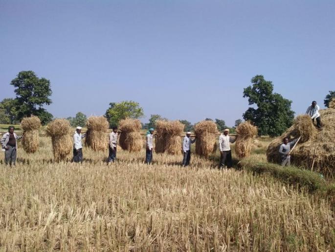 In Amravati region, 22.44 lakh hectares are affected | अमरावती विभागात २२.४४ लाख हेक्टर बाधित, १५४३.६७ कोटींची मागणी In Amravati region, 22.44 lakh hectares are affected | अमरावती विभागात २२.४४ लाख हेक्टर बाधित, १५४३.६७ कोटींची मागणी