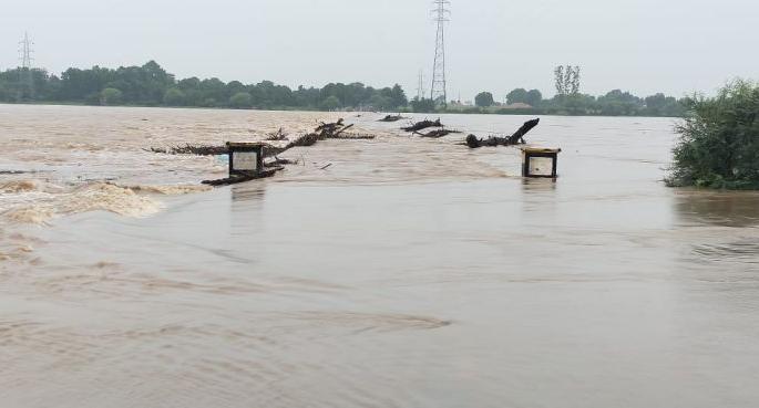 Flood situation in Gadchiroli, Chandrapur; Many villages lost contact | कोल्हा'पूर'नंतर चंद्र'पूर', गडचिरोलीतही पाणीच पाणी; अनेक गावांचा संपर्क तुटला Flood situation in Gadchiroli, Chandrapur; Many villages lost contact | कोल्हा'पूर'नंतर चंद्र'पूर', गडचिरोलीतही पाणीच पाणी; अनेक गावांचा संपर्क तुटला