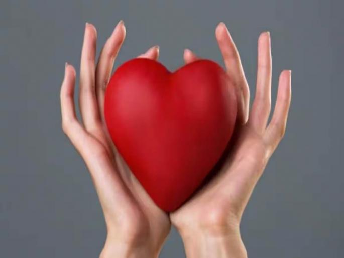 An artificial heart will be available for only 10 lakhs | केवळ १० लाखांत मिळणार कृत्रिम हृदय! An artificial heart will be available for only 10 lakhs | केवळ १० लाखांत मिळणार कृत्रिम हृदय!