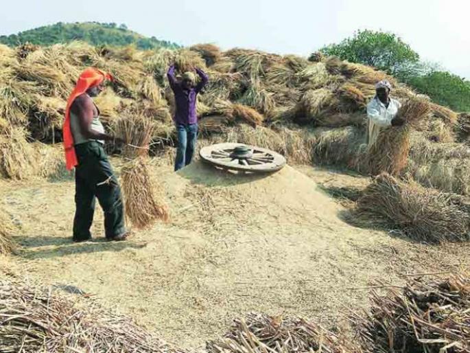 Grain should be processed in the district itself | धानाची भरडाई जिल्ह्यातच करावी; अन्यथा दहा हजार मजुरांवर उपासमारीचे संकट Grain should be processed in the district itself | धानाची भरडाई जिल्ह्यातच करावी; अन्यथा दहा हजार मजुरांवर उपासमारीचे संकट
