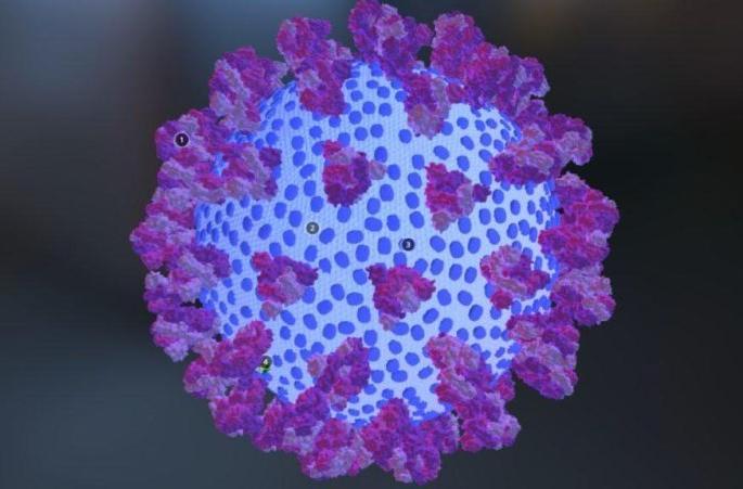 Re-eruption of corona in Vidarbha; Fear is gone, fuss of measures | विदर्भात कोरोनाचा पुन्हा उद्रेक; भीती गेली, उपाययोजनांचा फज्जा Re-eruption of corona in Vidarbha; Fear is gone, fuss of measures | विदर्भात कोरोनाचा पुन्हा उद्रेक; भीती गेली, उपाययोजनांचा फज्जा