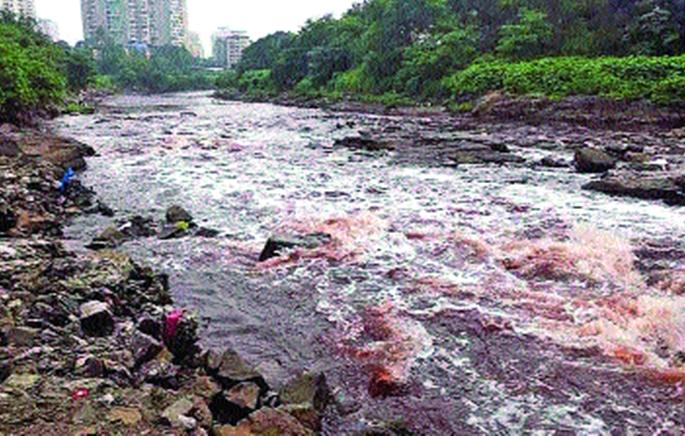 World River Day Special, River Health Care in Thane District | जागतिक नदी दिनविशेष, ठाणे जिल्ह्यातील नद्यांच्या आरोग्याची हेळसांड World River Day Special, River Health Care in Thane District | जागतिक नदी दिनविशेष, ठाणे जिल्ह्यातील नद्यांच्या आरोग्याची हेळसांड