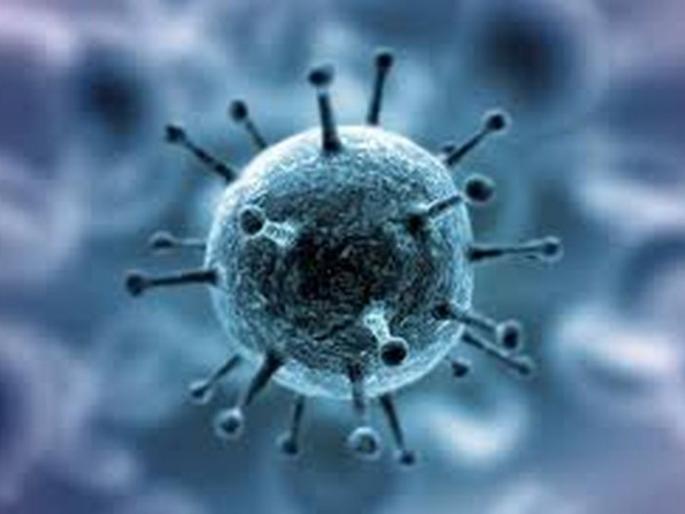 Refuse to eat meat for fear of 'corona'! | ‘कोरोना’च्या भीतीमुळे मांसाहाराला नकार! Refuse to eat meat for fear of 'corona'! | ‘कोरोना’च्या भीतीमुळे मांसाहाराला नकार!