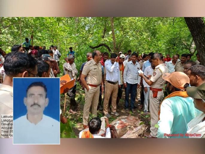 A farmer was killed in a tiger attack, the body was dragged 200 meters away | शेतात जाणाऱ्या शेतकऱ्याचा वाघाने घेतला घास! मृतदेह नेला २०० मीटर फरफटत A farmer was killed in a tiger attack, the body was dragged 200 meters away | शेतात जाणाऱ्या शेतकऱ्याचा वाघाने घेतला घास! मृतदेह नेला २०० मीटर फरफटत